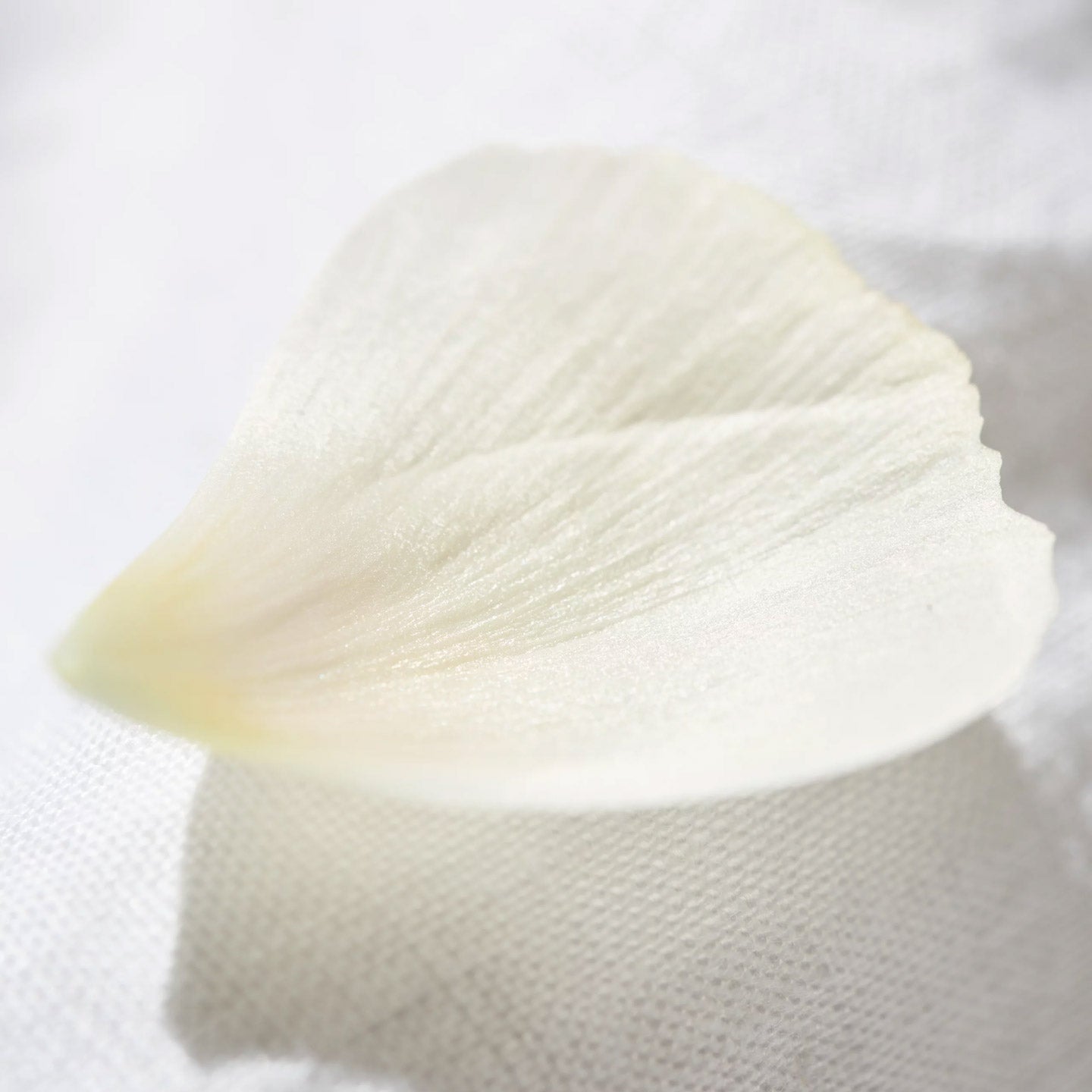 Indulging Fluid Oil 100ml